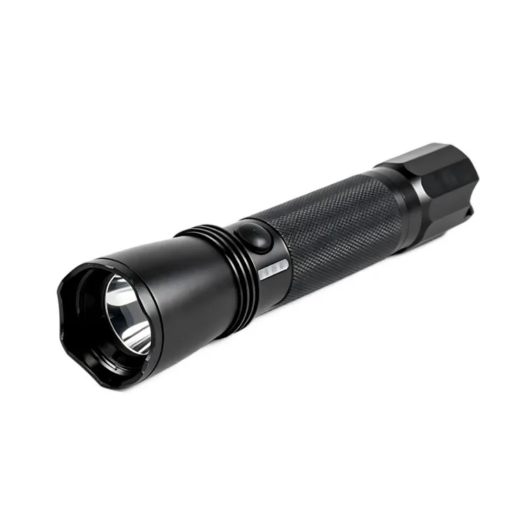 Flashlight Ilfheidhmeach Ard-Déine pléascadh-cruthúnas